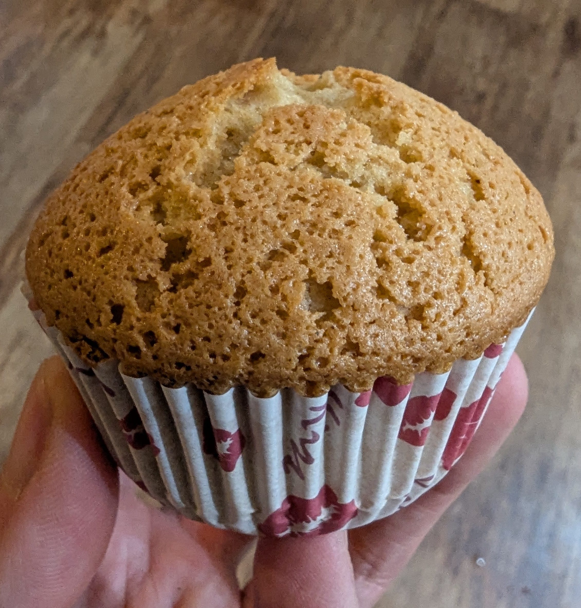 A lemon zest cupcake with a perfectly risen top