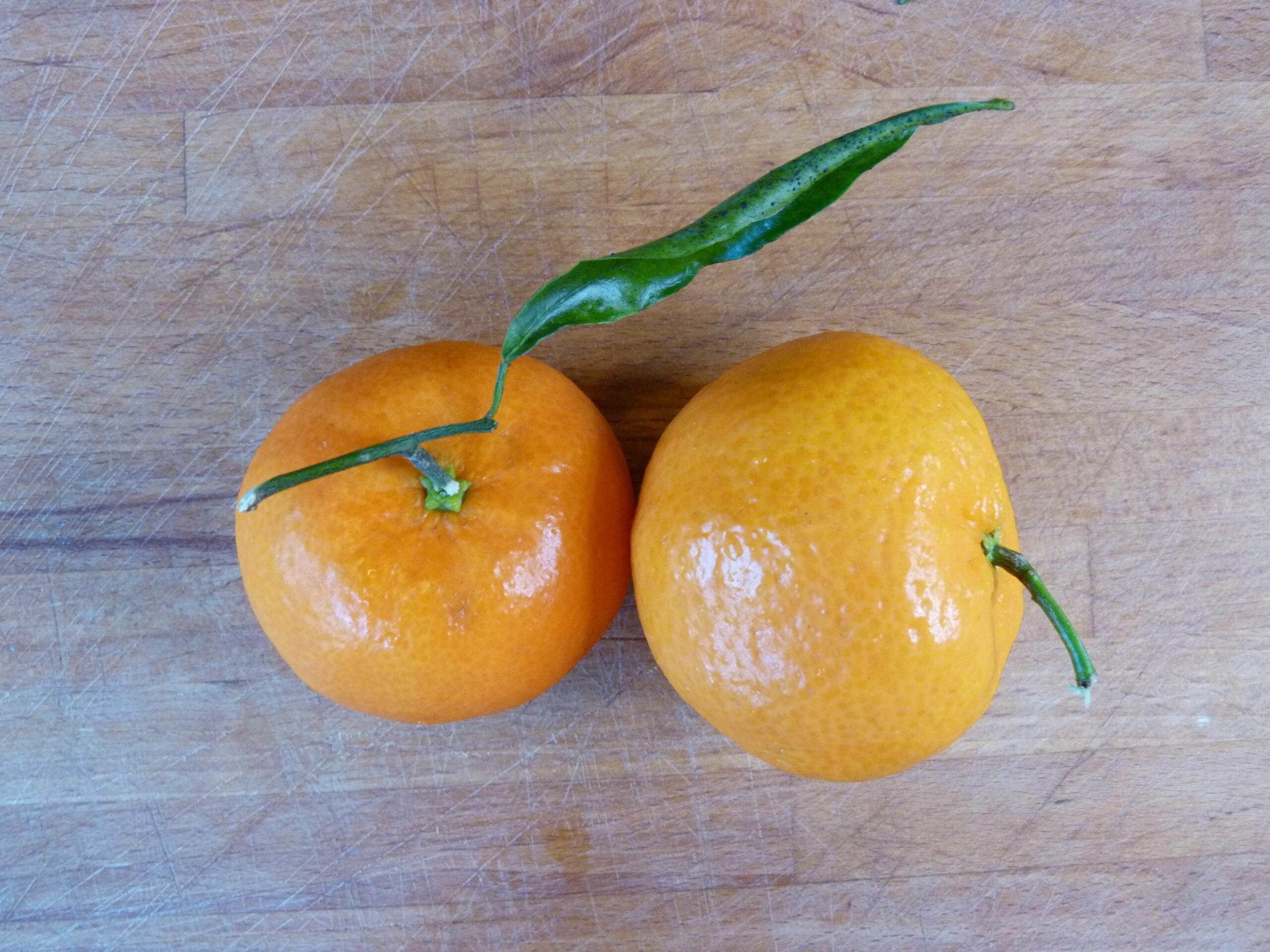 Two oranges ready to be peeled. Fine Motor Skills in Children.