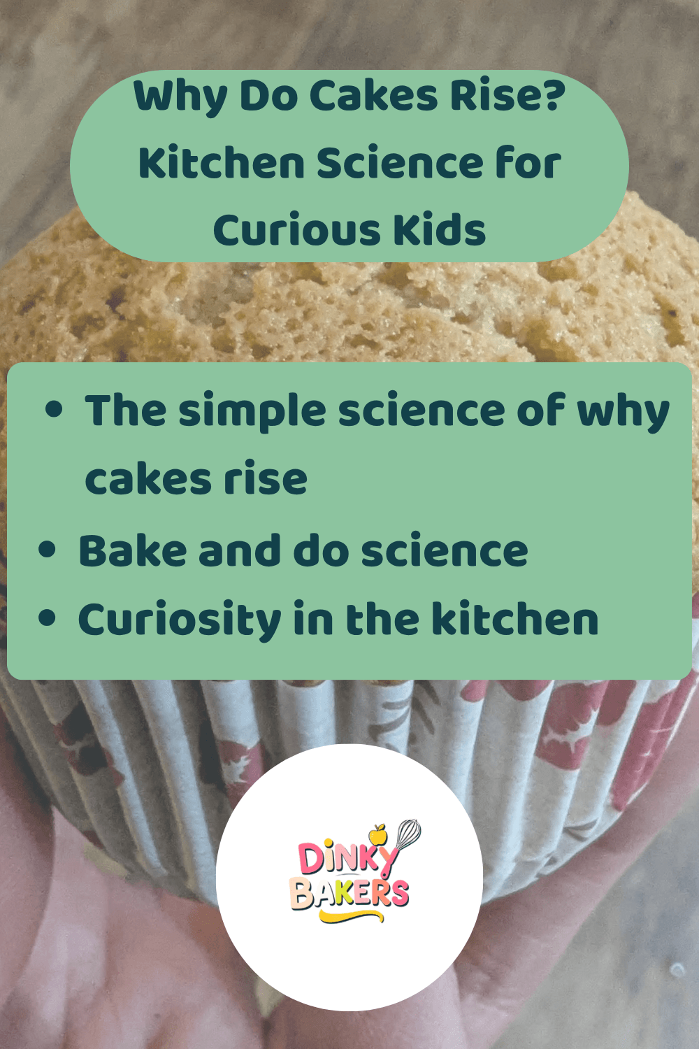 Why do cakes rise? Kitchen science for parents — Dinky Bakers